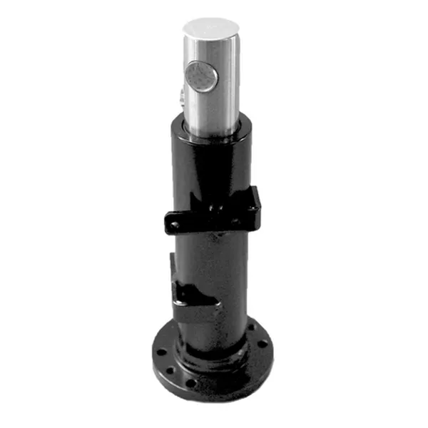 Integral check valve detail